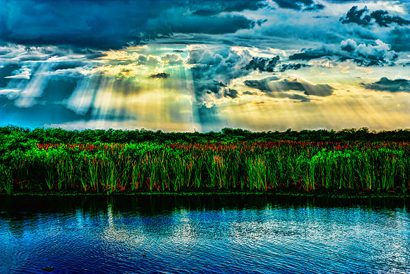 Cascading Light  24x36